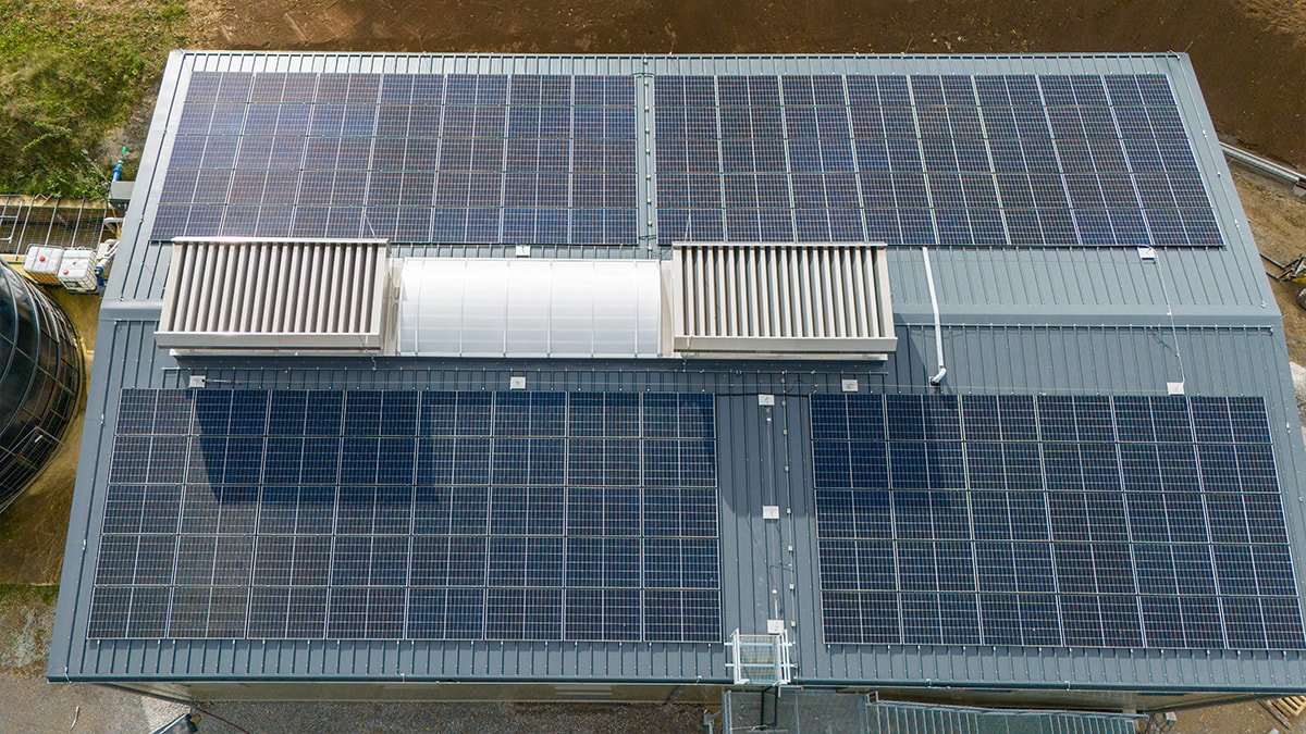 Dachfläche mit Solarpaneelen und integriertem Lichtband in der Mitte.